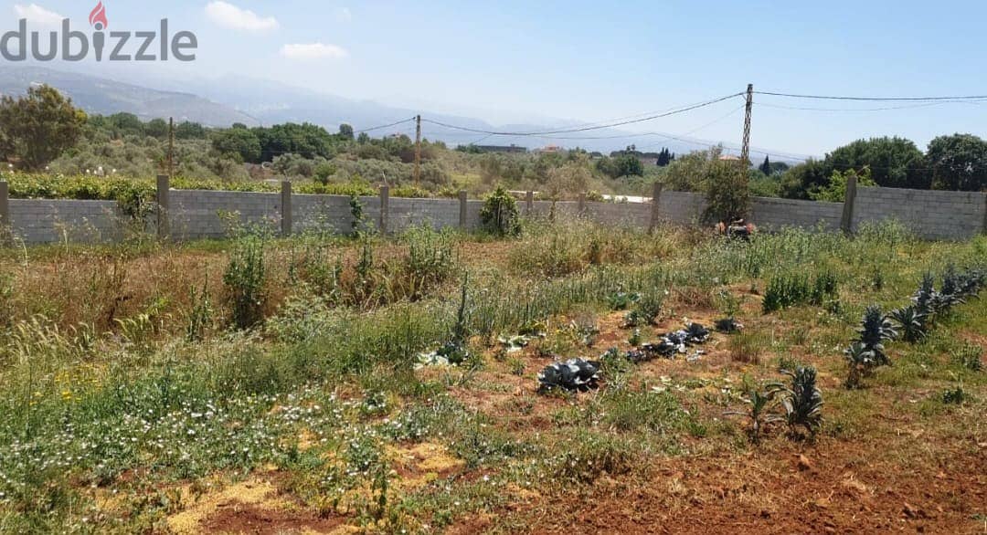 1000 m2 land + open mountain view for sale in Koura 0