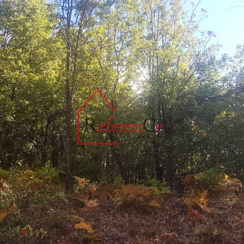 Prime land for sale in Kfardebian ارض مميزة للبيع في كفرذبيان 1