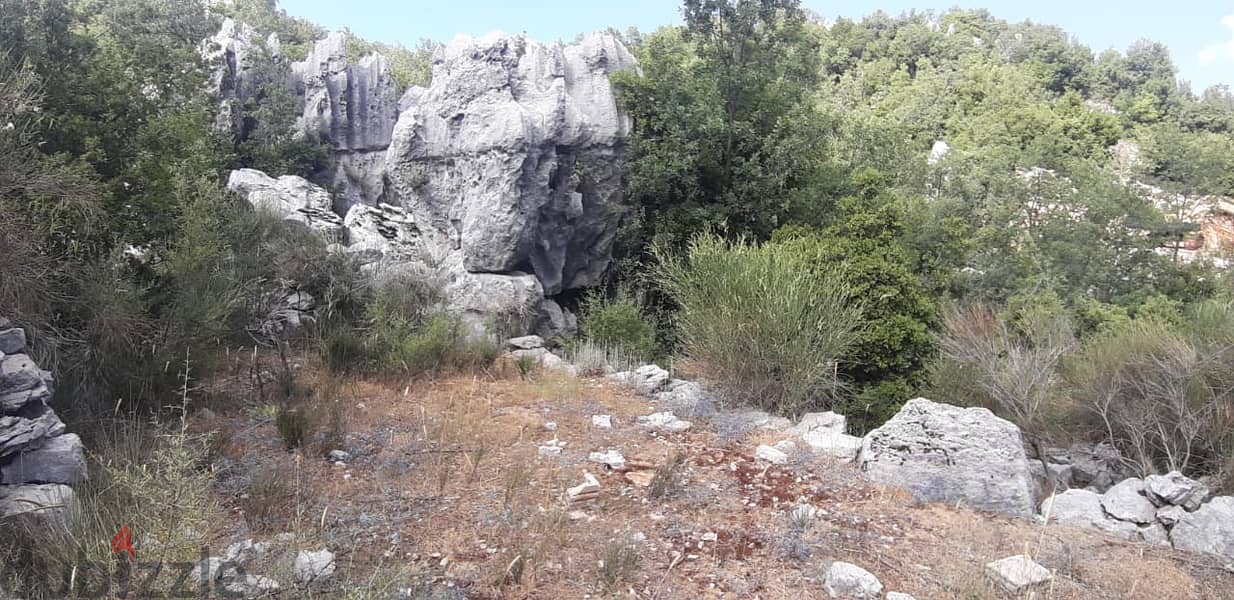 Land for sale in  Achkoutارض للبيع في عشقوت 4