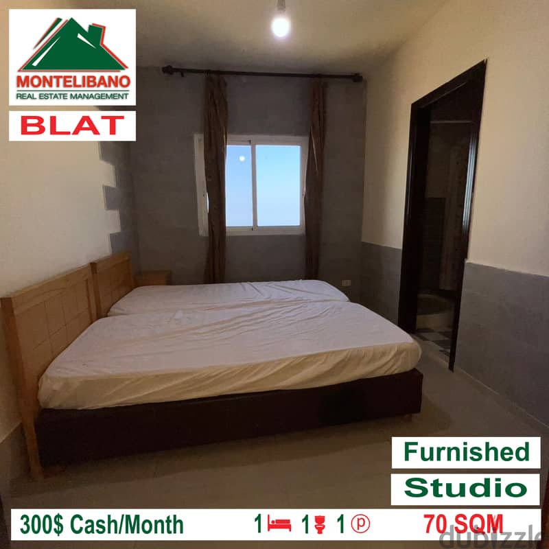 Furnished and open view studio for rent in BLAT!!! 1