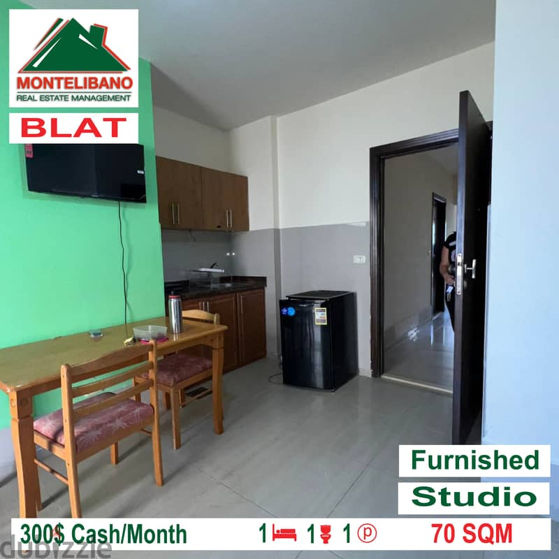 Furnished and open view studio for rent in BLAT!!! 2