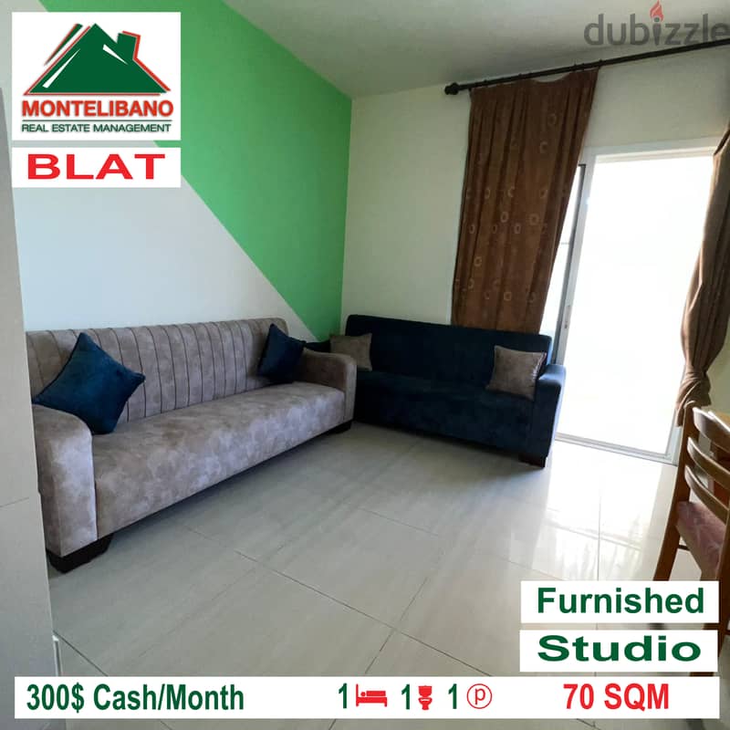 Furnished and open view studio for rent in BLAT!!! 3