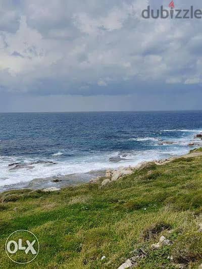 (2500Sq) Land In Jbeil Directly On The Sea Prime,ارض في جيبل على البحر