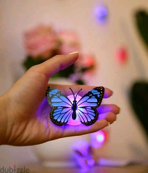 Beautiful butterfly lamps 1 for 2$ 6