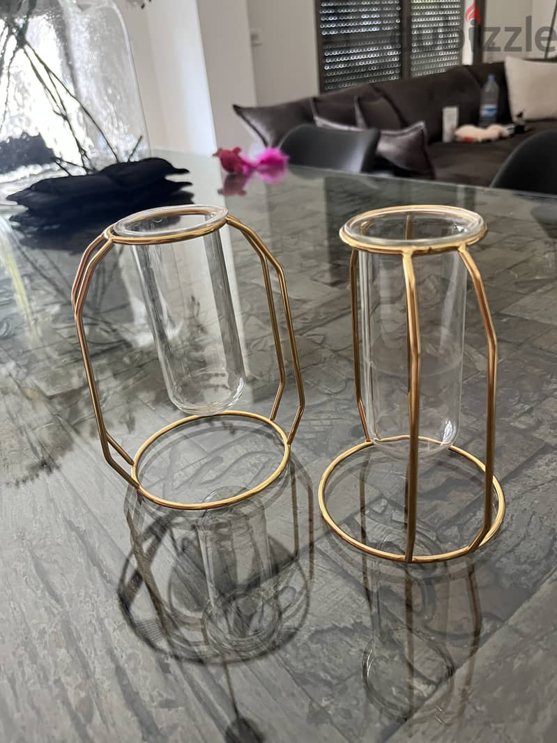 Elegant Vases 0