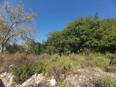 Beautiful Land | Negotiable Price