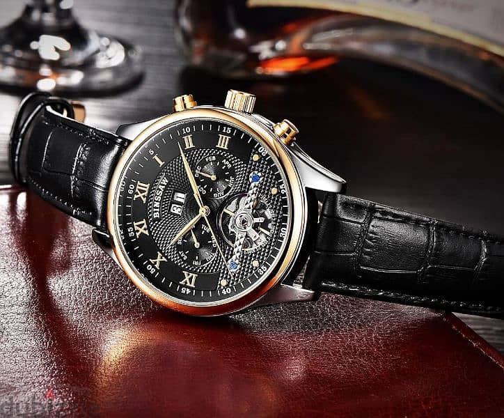 Luxury Mechanical Watch 1