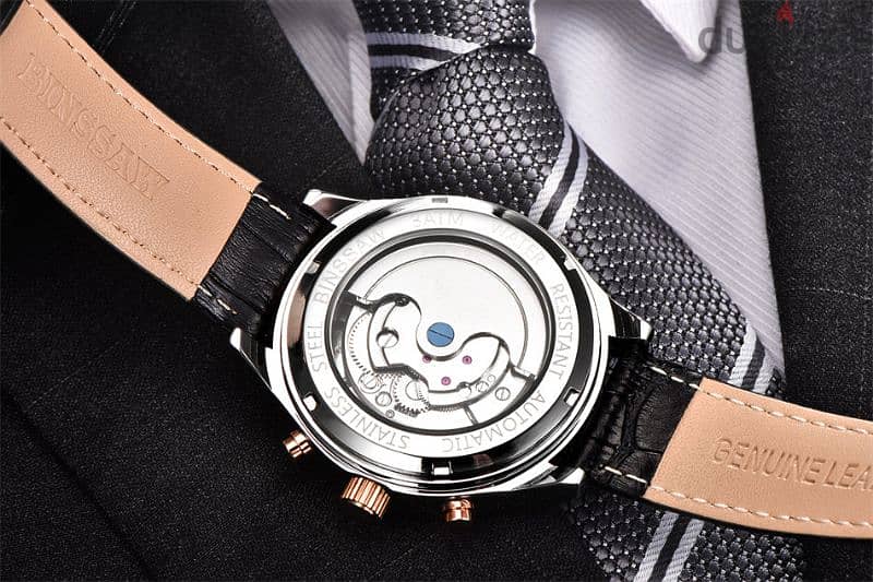 Luxury Mechanical Watch 2