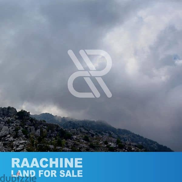 land for sale in Raachine - أرض للبيع في رعشين 1