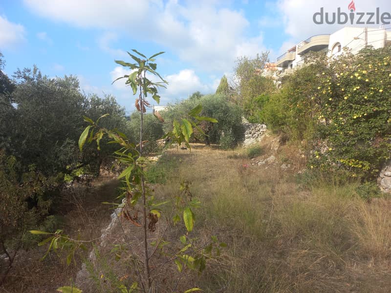 RWK140JK - Land For Sale  in Ghedress - أرض للبيع في غدراس 5