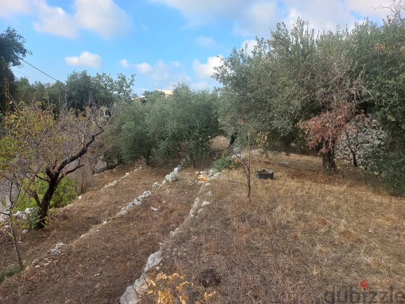 RWK140JK - Land For Sale  in Ghedress - أرض للبيع في غدراس 7