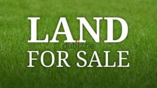 land for sale in mkalis sina3i.  ٤٥٠٠٠٠$ارض للبيع على المكلس صناعية 0