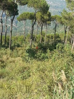 1700 m² land for sale in Salima! 0
