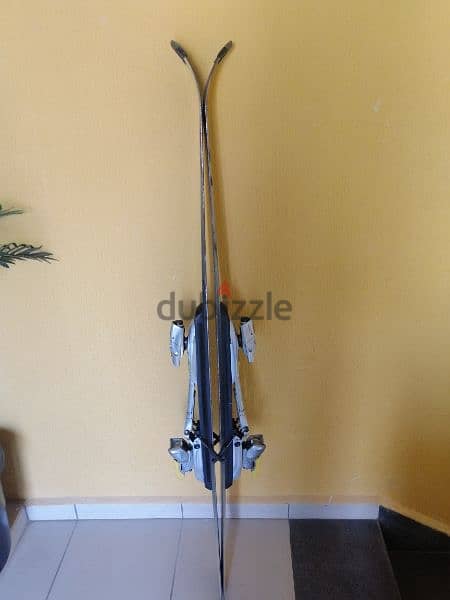 Slovenian made salomon skis 1