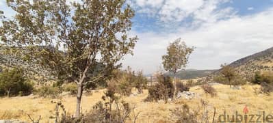 3800 Sqm | Land For Sale In Rachaya | Mountain View 0