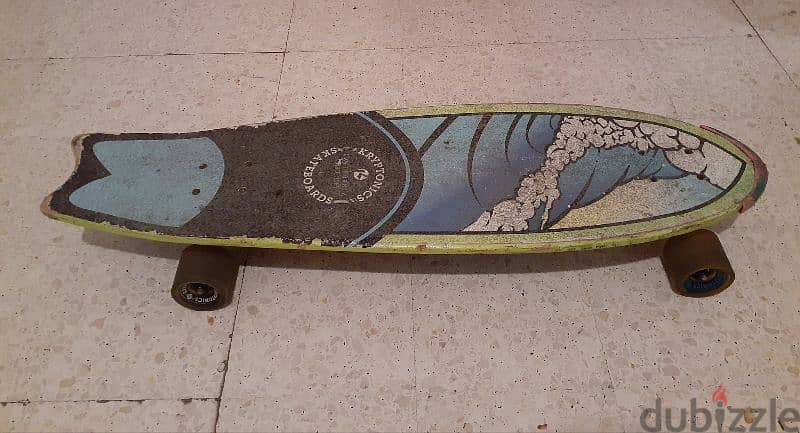longboard skateboard 1