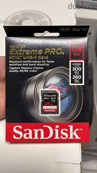 Sandisk