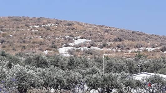 L07070-Land for Sale on Koura Highway