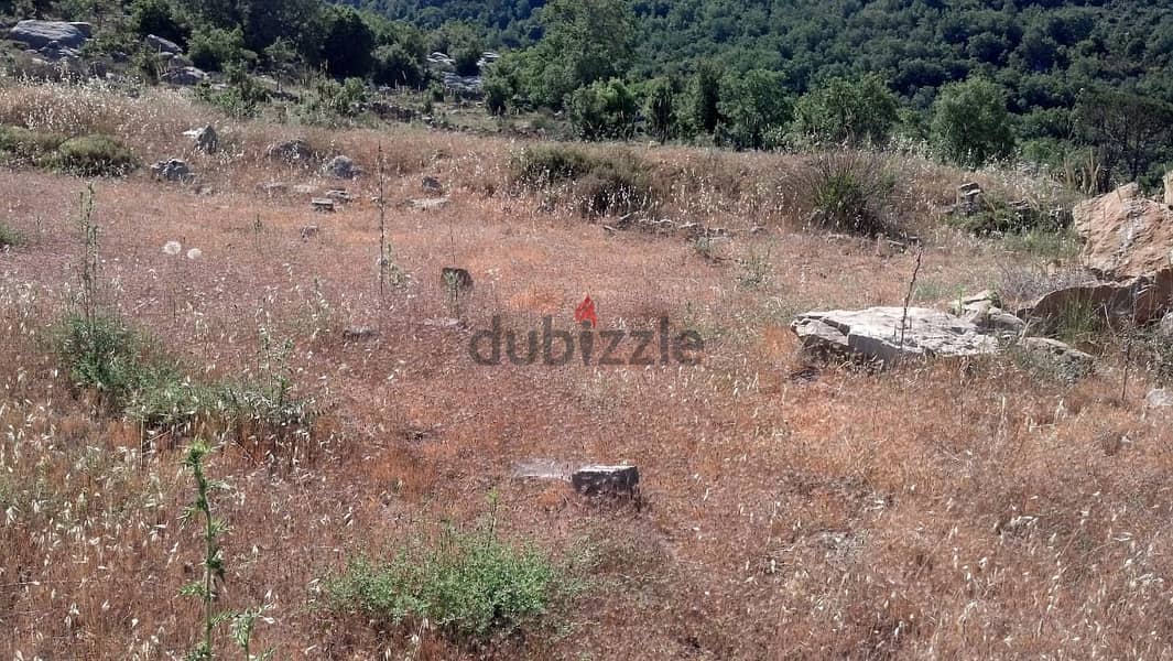 L06250-Land for Sale in El Mtein Prime Location With Great View 1