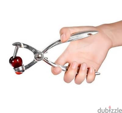 Olive & Cherry Pitter