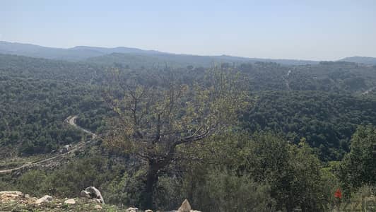 RWB213MT - Land for sale in Haqel Jbeil ارض للبيع في حائل جبيل