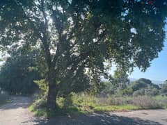 land for sale in bteram