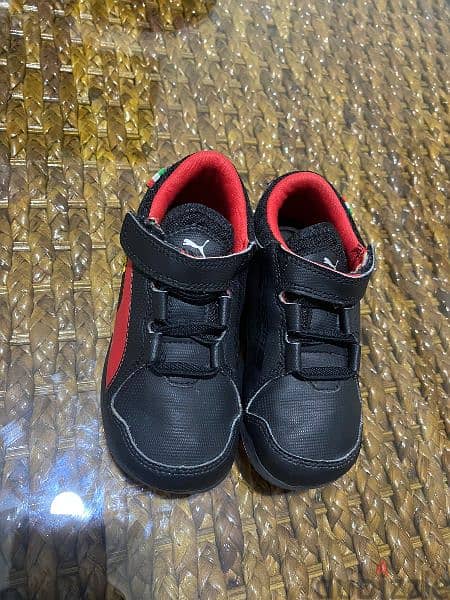 ferrari toddler shoes