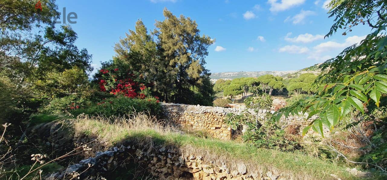 L13650-Land With Sea And Mountain View for Sale In Batroun 1