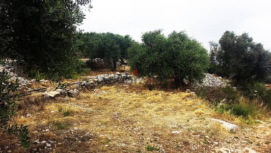 L01390 - Land For Sale In Batroun With Mountain View, Residential Zone