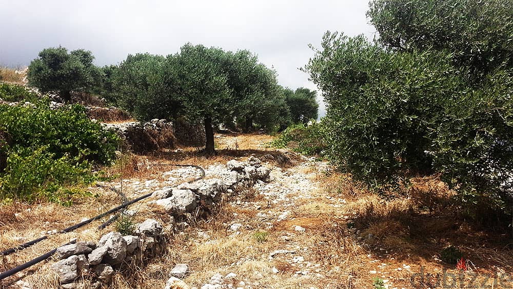 L01390 - Land For Sale In Batroun With Mountain View, Residential Zone 1