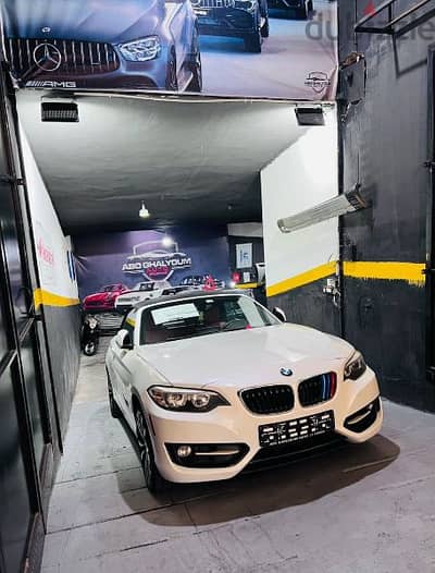 BMW 228i M-PACKAGE clean carfax