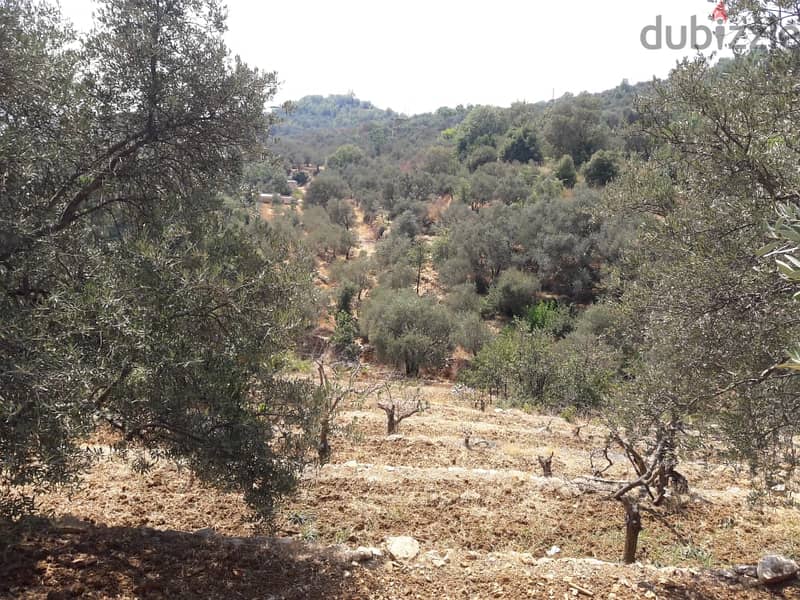 L08713 - Land for Sale in Al-Kaakour 3