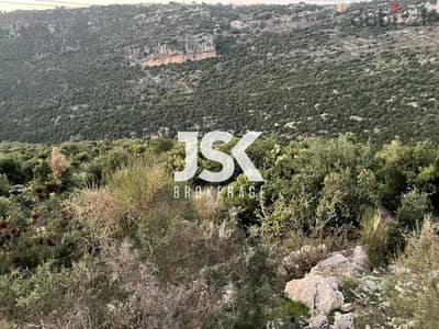 L13699-Big Size Land for Sale In Haqel-Jbeil