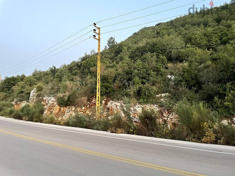 L13699-Big Size Land for Sale In Haqel-Jbeil 2