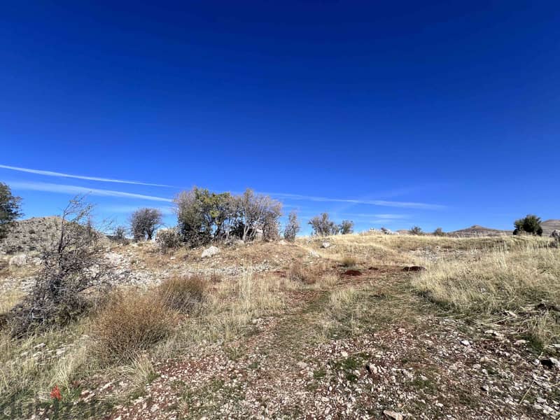 Land in Tannourine | Panoramic View  | أرض للبيع | PLS 25843/13 6