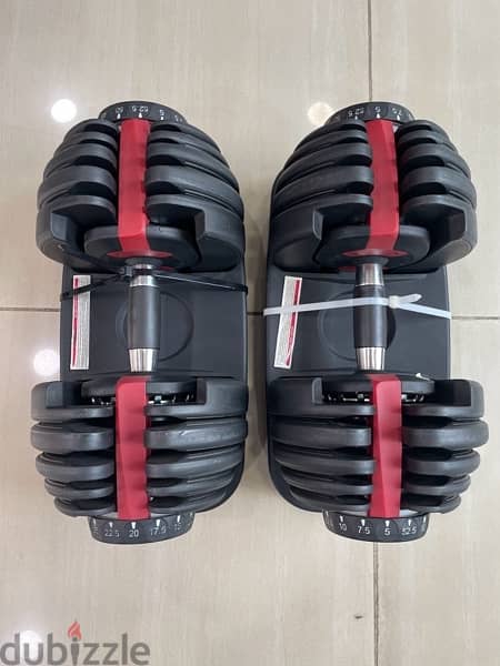 Adjustable Dumbbell pair 2