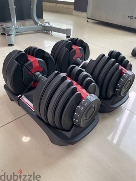 Adjustable Dumbbell pair 3