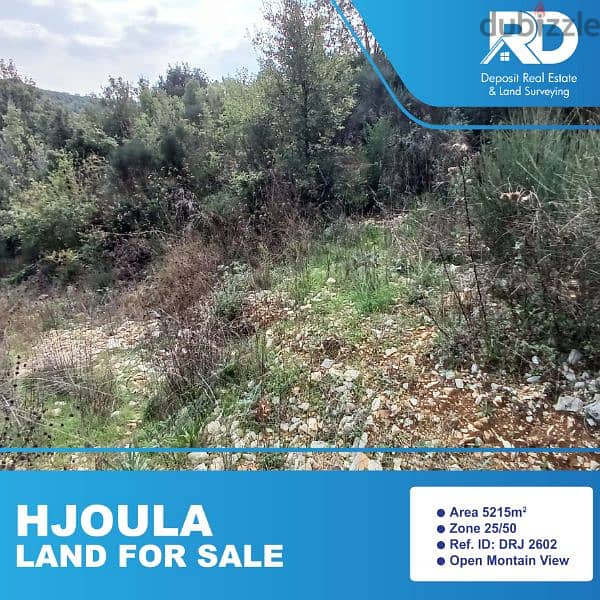 Land for sale in Hjoula - حجولا 0