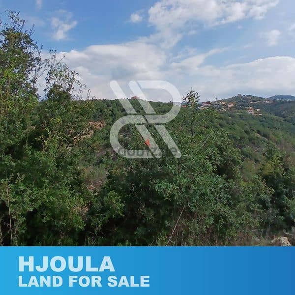 Land for sale in Hjoula - حجولا 1