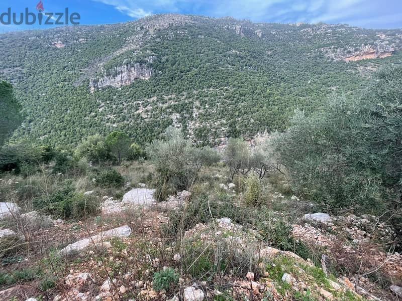 4100 SQM Land in Hakel, Jbeil with Breathtaking Mountain View 1