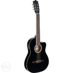 Electro Acoustic Guitar -Stagg Brand 0
