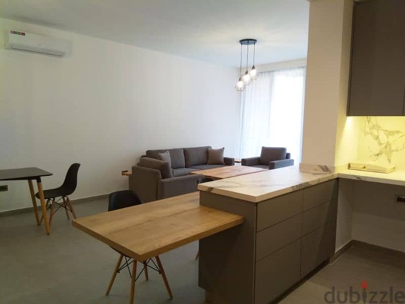 Delux fully furnished apartment 6