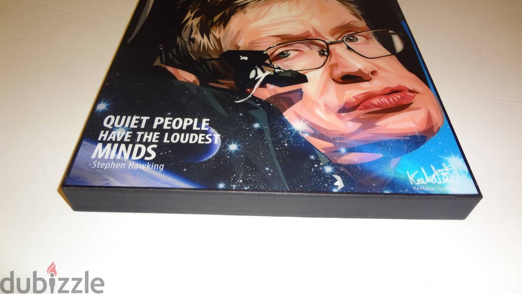 Stephen Hawking funko pop wall mountable photo frame 26*26cm 1