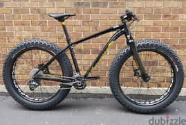 Specialized Fatboy “ rare to find “ carbon fork