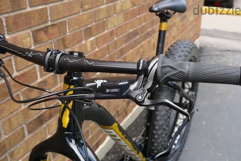 Specialized Fatboy “ rare to find “ carbon fork 11