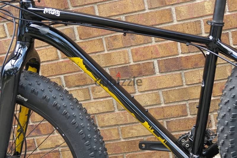 Specialized Fatboy “ rare to find “ carbon fork 13