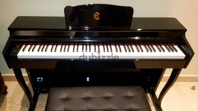 Piano Digital Cpro. New hamer keys 900 voices 70p styles . . . 2