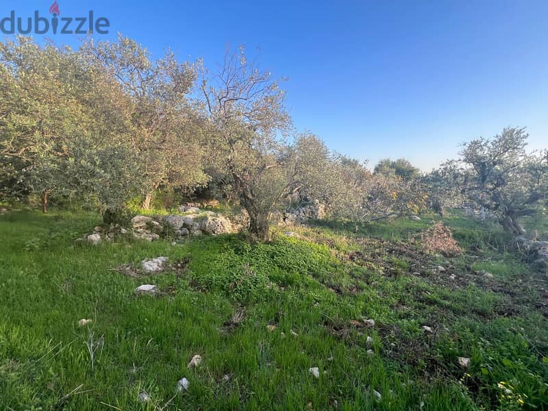 A 1255 m2 land + open sea view for sale in Monsef-أرض للبيع في منصف 4