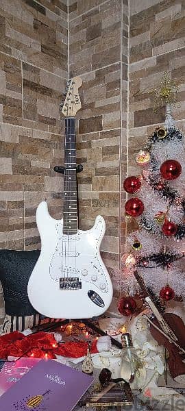 electric guitar with bag and cable and picks free