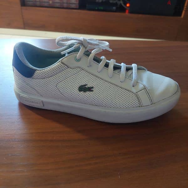 lacoste shoes 4